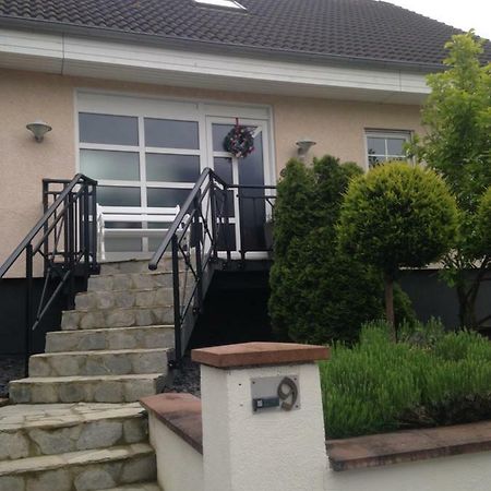 Loreley Bed And Breakfast Bornich 外观 照片